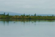 По водной глади таёжного озера